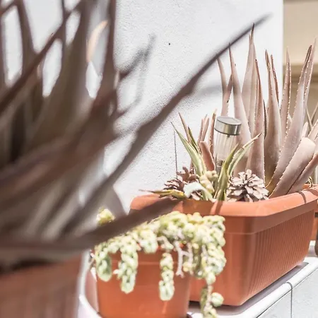 Appartamento Estudio Con Balcon Estrella De Mar